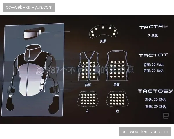 触觉反馈背心接口打通 观众可同步捕捉赛场冲撞感